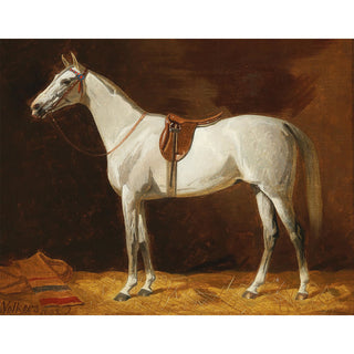 Vintage equestrian portrait of a gray mare in English tack by Emil Volkers
