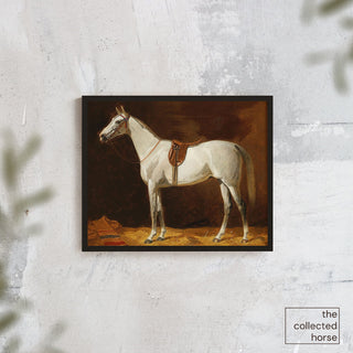 Vintage equestrian portrait of a gray mare in English tack by Emil Volkers - wall art mockup
