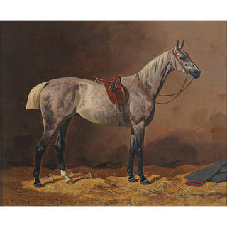 Vintage equestrian painting of a gray horse wearing English tack by Emil Volkers