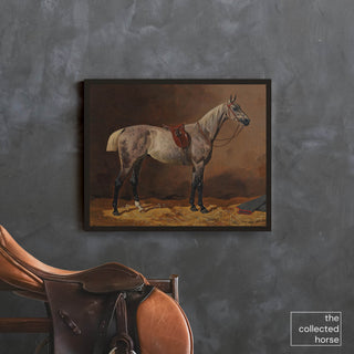 Vintage equestrian painting of a gray horse wearing English tack by Emil Volkers - wall art print mockup 2