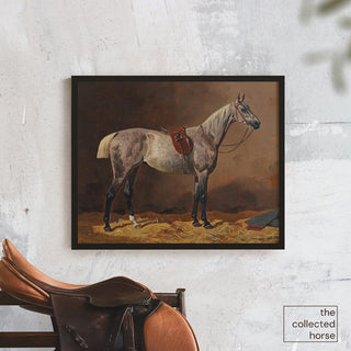 Vintage equestrian painting of a gray horse wearing English tack by Emil Volkers - wall art print mockup with saddle