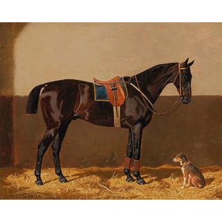 Vintage equestrian portrait of a dark bay horse wearing English tack with a dog friend by Emil Volkers 