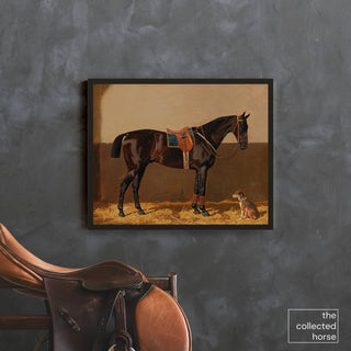 Vintage equestrian portrait of a dark bay horse wearing English tack with a dog friend by Emil Volkers - wall art mockup