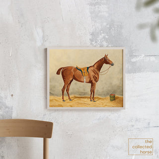 Vintage equestrian portrait of a chestnut mare wearing English tack by Emil Volkers - wall art print mockup