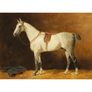 Vintage equestrian portrait of a gray hunter horse wearing English tack by Emil Volkers