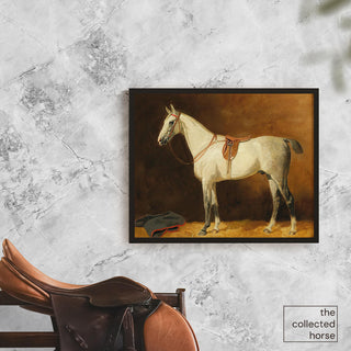 Vintage equestrian portrait of a gray hunter horse wearing English tack by Emil Volkers - canvas wall art mockup with saddle