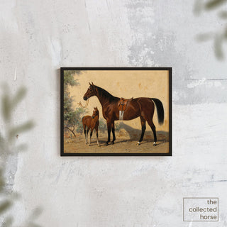 Vintage equestrian portrait of a dark bay mare with English tack and her foal or filly by Emil Volkers - canvas wall art print mockup